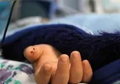 مرگ تلخ کودک ۳ ساله در مهمانی خانوادگی