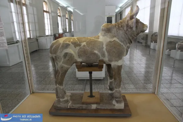 پیکره سفالی گاو نر - اواخر هزاره دوم پیش از میلاد - کشف شده در چغازنبیل خوزستان