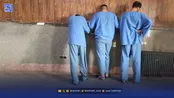 سرقت چهار کشتی‌گیر از خانه خانم فوتسالیست