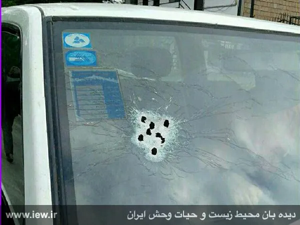 تابناک