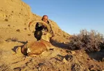 تابناک