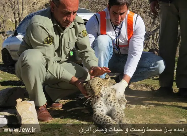 تابناک