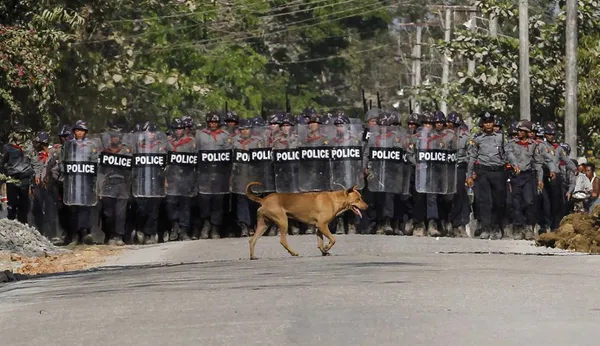 در حاشیه  تظاهرات دانشجویان معترض به اصلاح نظام آموزشی میانمار./REUTERS
