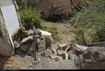 تابناک
