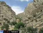 تابناک