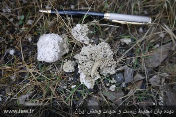 تابناک