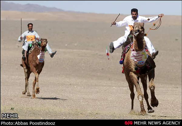 مسابقات شتر سواری