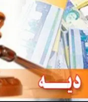 برخی نوآوری‌های قانون مجازات اسلامی در پرداخت دیه از بیت‌المال