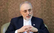 صالحی: در بعد فنی برجام چیزی از دست ندادیم