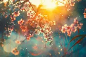 «دوش چه خورده‌ای دلا» شهرام ناظری / «من ایرانی‌ام» علیرضا عصار / «لیلا سوار بر کاروسل» انور براهم / «رندان سلامت می‌کنند» محمدرضا شجریان / «دلبر» محسن چاوشی