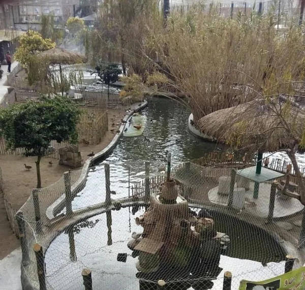 تابناک