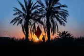 عکس: قدم‌ها در مسیر اربعین، دل‌ها در حریم حسین علیه السلام