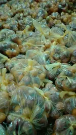 تابناک