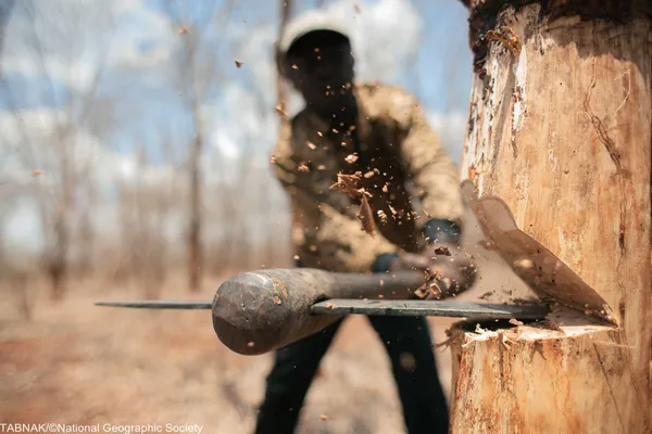 (&copy; Rafael Hernandez/National Geographic Traveler Photo Contest)