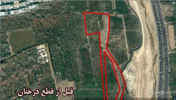 تابناک