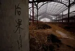 China's Abandoned Wonderland