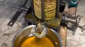 روش استخراج روغن آفتابگردان به روش سنتی