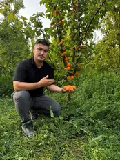 خرید نهال میوه دیرگل و زودبازده معتبر