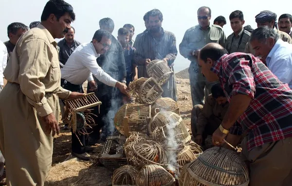 بیش از ۵۰ شکارچی کهنه کار مهابادی، با هدف آشتی با طبیعت، در یک اقدام نمادین با رهاسازی ۵۰ قطعه کبک در دامان طبیعت، به طور دسته جمعی با شکار خداحافظی کرده و به همیاران محیط زیست پیوستند. /IRNA
