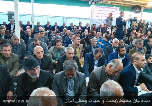 تابناک.