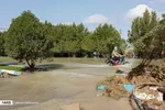 تابناک
