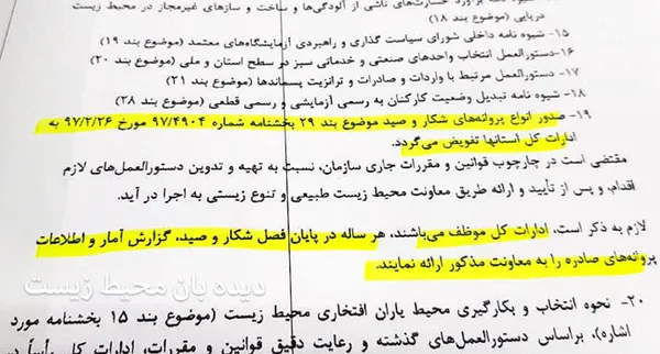 تابناک