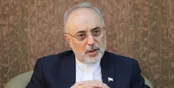 صالحی: دسترسی آژانس تا سه ماه قطع خواهد بود