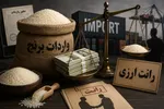 واردات برنج برای تازه وارد‌ها / خطر ورود کالا‌های...