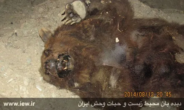 تابناک