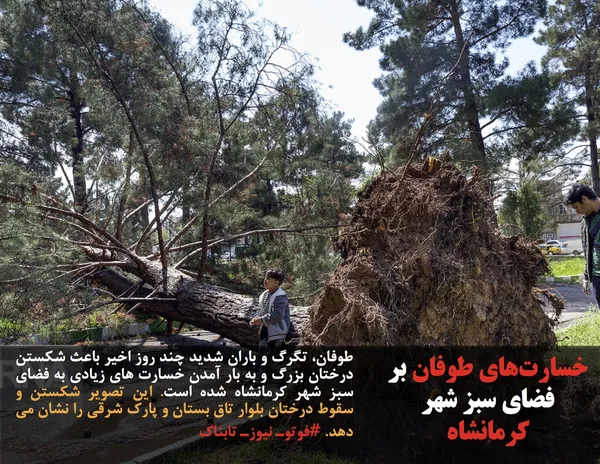 طوفان، تگرگ و باران شدید چند روز اخیر باعث شکستن درختان بزرگ و به بار آمدن خسارت های زیادی به فضای سبز شهر کرمانشاه شده است. این تصویر شکستن و سقوط درختان بلوار تاق بستان و پارک شرقی را نشان می دهد. #فوتوـ نیوزـ تابناک
