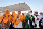 حال و هوای مسجدالنبی در ایام حج ۱۴۰۳