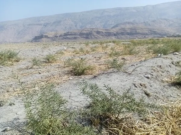 خشکسالی
