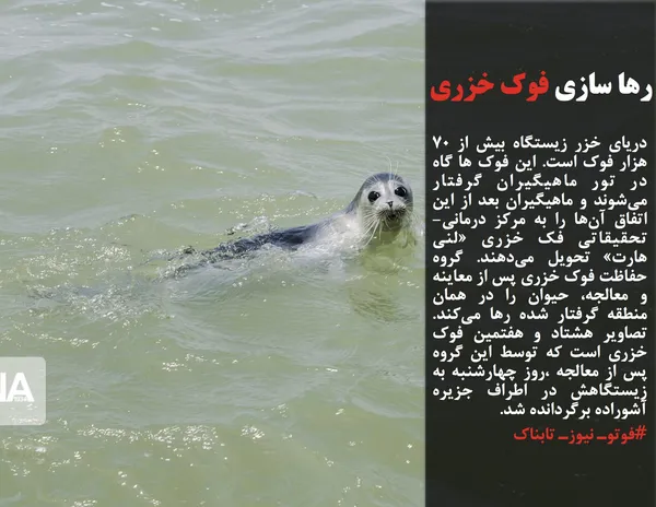 دریای خزر زیستگاه بیش از ٧٠ هزار فوک است. این فوک ها گاه در تور ماهیگیران گرفتار می&zwnj;شوند و ماهیگیران بعد از این اتفاق آن&zwnj;ها را به مرکز درمانی- تحقیقاتی فک خزری &laquo;لنی هارت&raquo; تحویل می&zwnj;دهند. گروه حفاظت فوک خزری پس از معاینه و معالجه، حیوان را در همان منطقه گرفتار شده رها می&zwnj;کند. تصاویر هشتاد و هفتمین فوک خزری است که توسط این گروه پس از معالجه ،روز چهارشنبه به زیستگاهش در اطراف جزیره آشوراده برگردانده شد.
