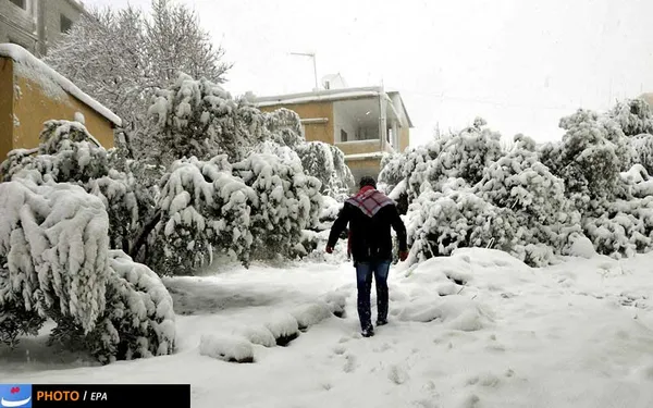سویدا، سوریه