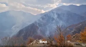 باران و برف به داد جنگل چالوس رسید/آتش فروکش کرد