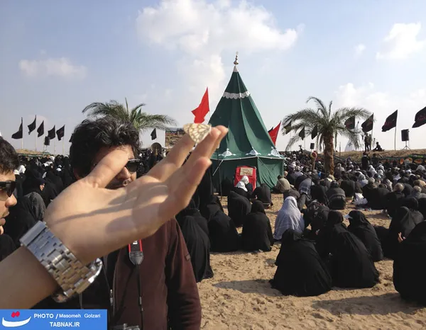 پروانه