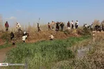 تابناک
