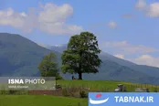 رودبار، شهر زیتون و زیبایی های پنهان