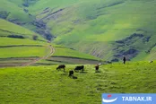 عکس: گرمی؛ نگین سبز و بهشت گمشده در نوار مرزی اردبیل