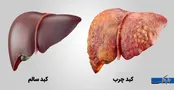 رژیم غذایی لاکچری شده و مردم مثل قبل انگیزه کاهش وزن ندارند / هزینه رژیم سالم در سال ۱۴۰۴ چقدر است؟