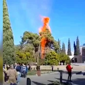 وقوع آتش‌سوزی در آرامگاه سعدی