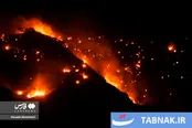آتش‌سوزی پارک ملی گلستان