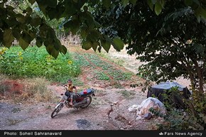 تابناک