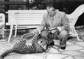 ترور صدراعظم اتریش / ژاپن پس از جنگ جهانی دوم چگونه بود؟ / یوگسلاوی پس از سلطه تیتو / تصرف پایگاه موشکی وی-۱ آلمان / راهکار مشکل جای پارک در ۱۹۲۷
