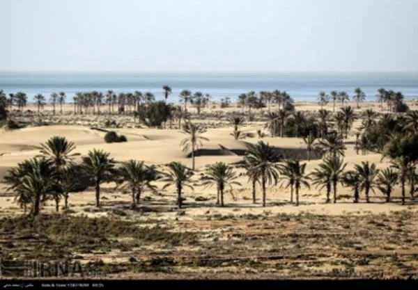 دریا
