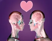 وقتی عاشق می‌شویم چه بلایی بر سر مغزمان می‌آید؟!