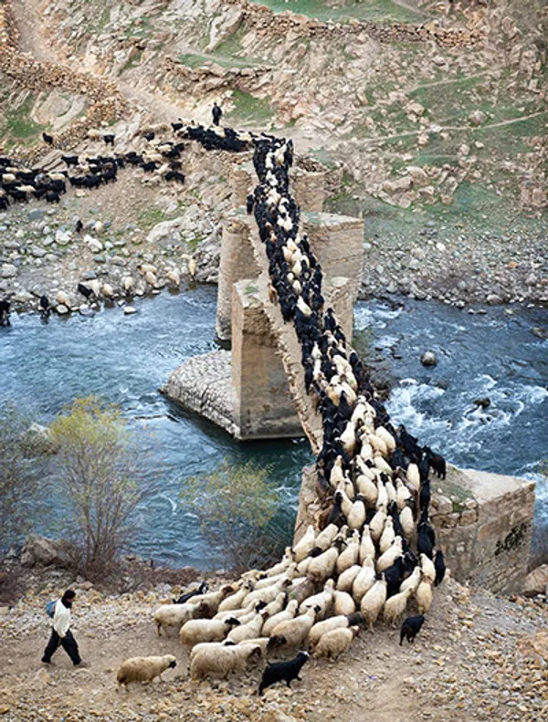 چوپان های دره تنگیور در کردستان، روستای پالنگان افزون بر ۲۰ چشمه جوشان در دره تنگیور دارد که آب خود را به رودخانه تنگیور می&zwnj;ریزند و آبشارهای حاصل از ریزش آب این چشمه&zwnj;ها بسیار دیدنی است.
Amos Chapple
