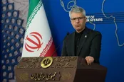 بقائی: بی‌تفاوتی کنگره به جنایات جنگی شرم آور است