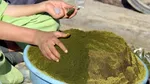 فروش آزادانه ماده ویرانگر در کوچه و خیابان/ زوال آهسته و پیوسته با ماده ای که مخدر نیست!