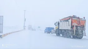 عکس: بارش زیبای برف صبحگاهی در شهر سرمست کرمانشاه
